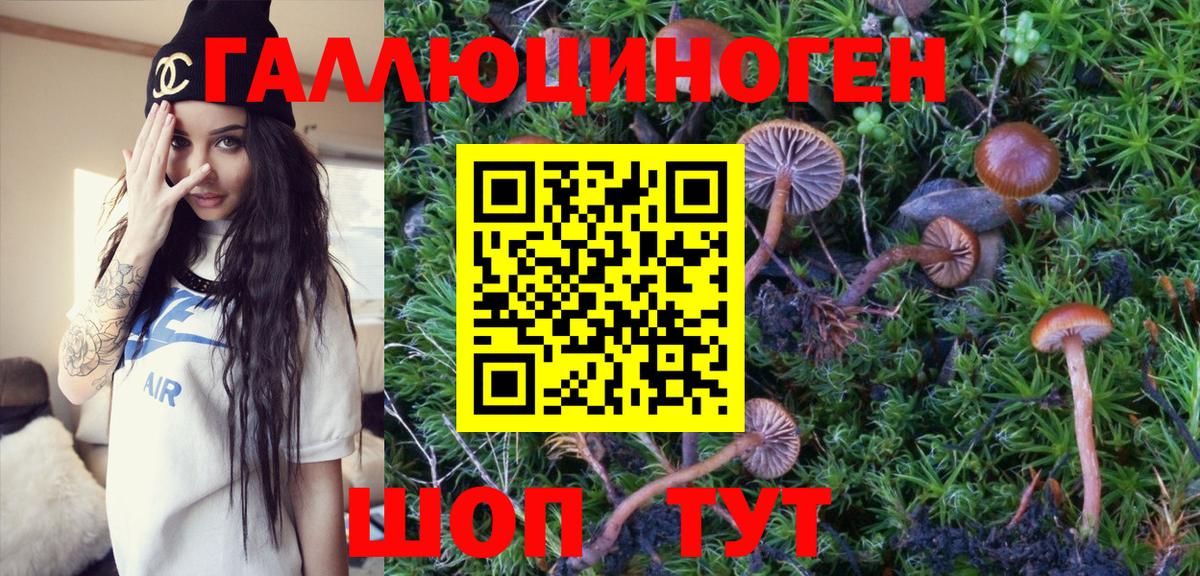 Галлюциногенные грибы Psilocybine cubensis Баксан